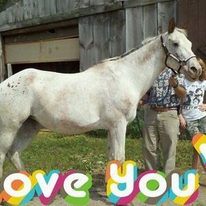 Meet your Posher, Ron